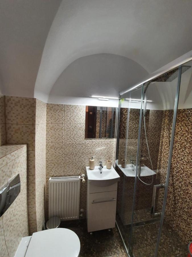 シビウRadu Apartamentアパートメント エクステリア 写真